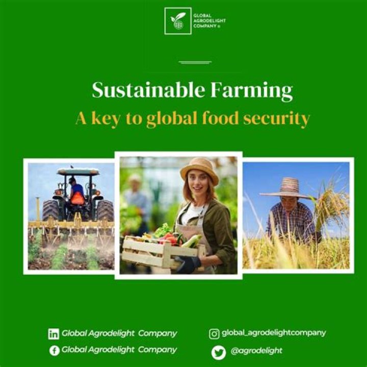 A Guide to Sustainable Strawberry Production: Ensuring Future Abundance