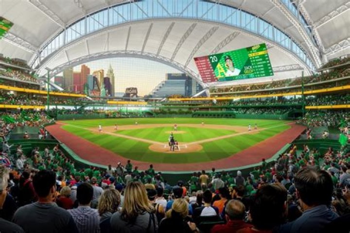 Amli at the Ballpark Photos: Capture the Magic of Baseball