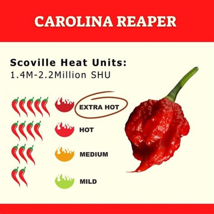 Carolina Reaper: The King of the Scoville Scale