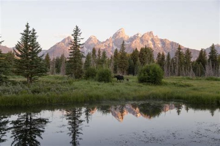Discover the Enchanting Elk Refuge Inn Jackson Hole Wyoming
