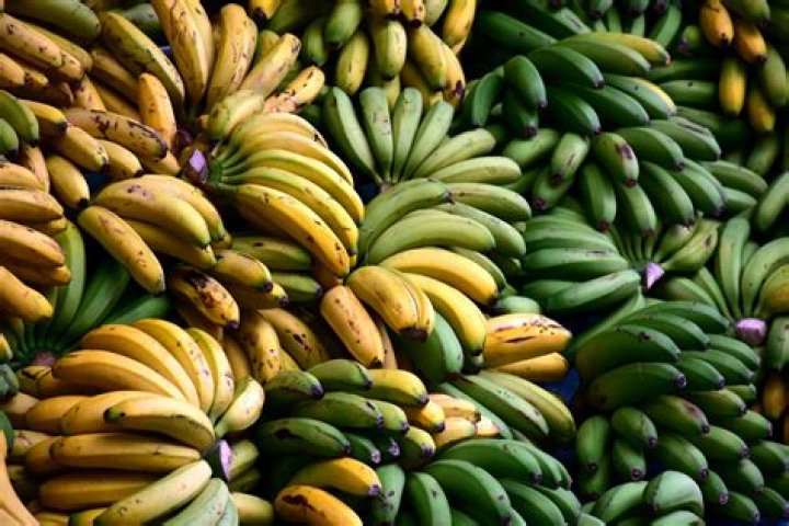 Discover the Surprising Truth: Bananas are True Berries!