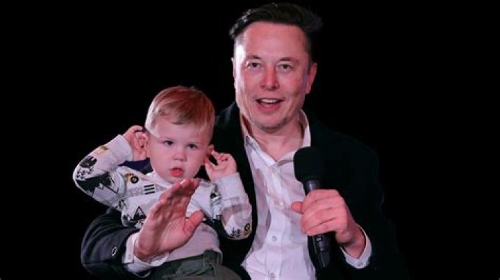 Elon Musk BabyFur: The Intriguing Intersection of Tech, Fashion, and Sustainability