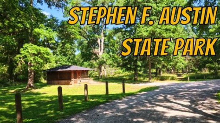 Exploring Stephens: A Key Figure in "The Camgirl Inquiry"
