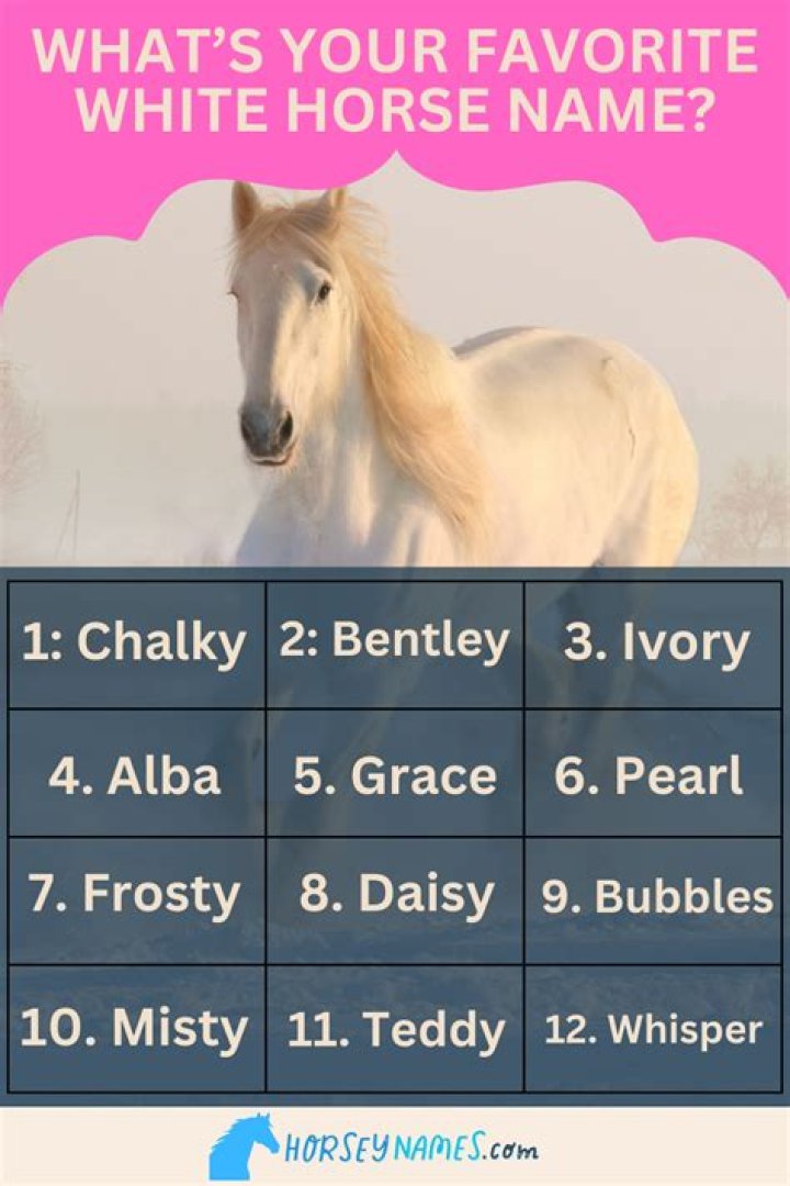 Good Horse Names for a White Horse: Inspiring and Unique Ideas