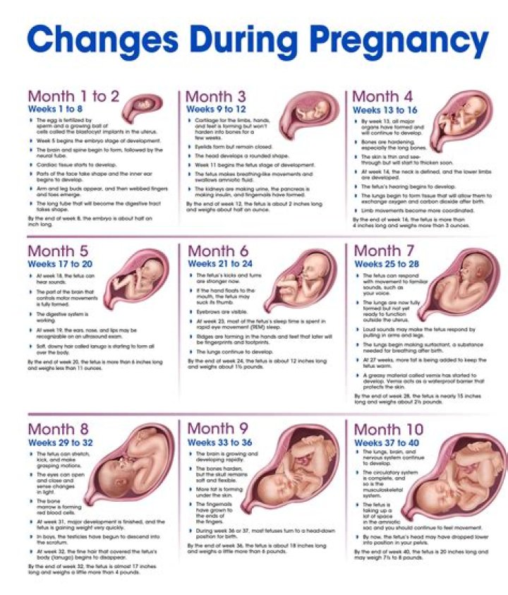Lindsay Hubbard's Pregnancy Journey: Updates, Timeline, and Expectations