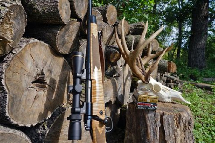 Midsouth Shooting Supply: Your Ultimate Destination for Firearms and Gear