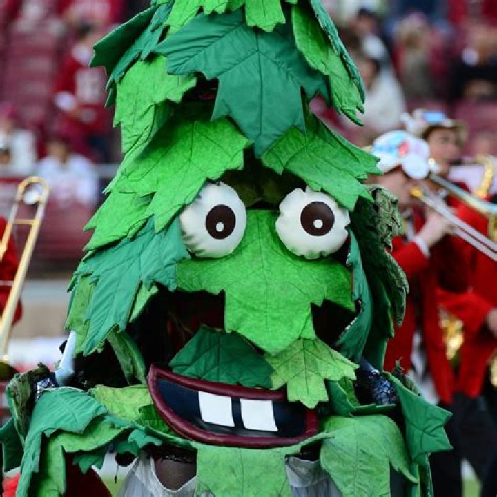 The Stanford Tree: The Iconic Mascot of Stanford University