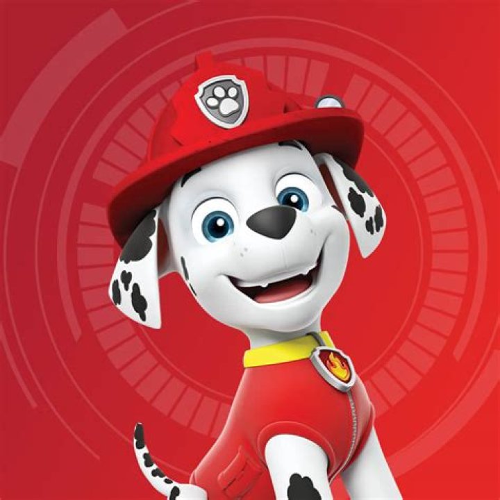 What is the Dog's Name on Paw Patrol: A Comprehensive Guide